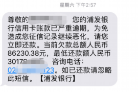 凌云遇到恶意拖欠？专业追讨公司帮您解决烦恼